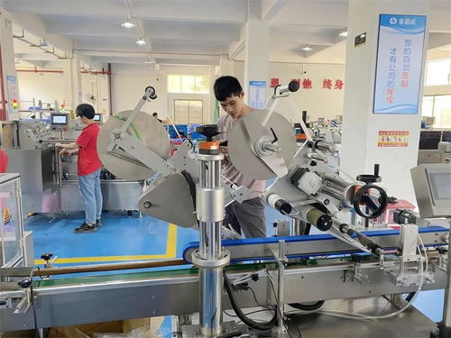 金嘉成工廠 邁向碳達(dá)峰與碳中和的節(jié)能減排實踐與技術(shù)咨詢